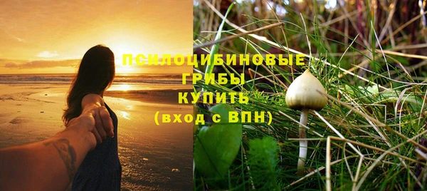 дурь Арсеньев