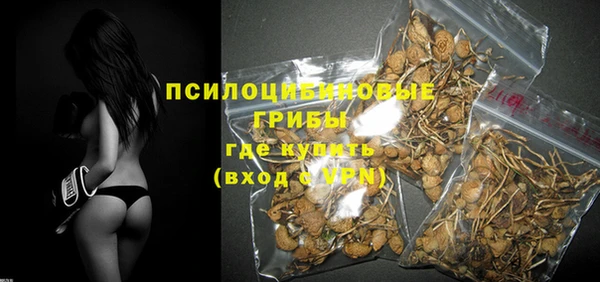 дурь Арсеньев