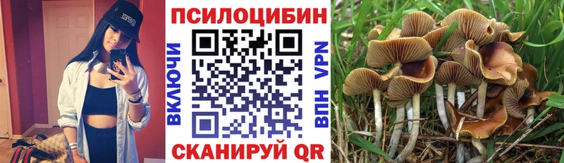 Галлюциногенные грибы Psilocybine cubensis  Баксан 